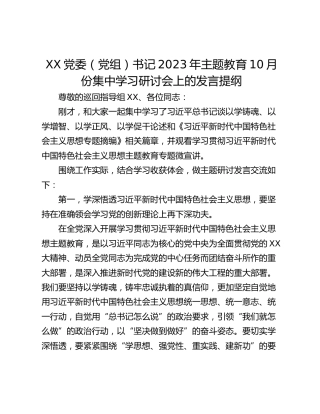 XX党委（党组）书记2023年主题教育10月份集中学习研讨会上的发言提纲