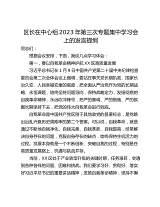 区长在中心组2023年第三次专题集中学习会上的发言提纲
