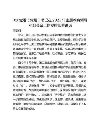 XX党委（党组）书记在2023年主题教育领导小组会议上的安排部署讲话