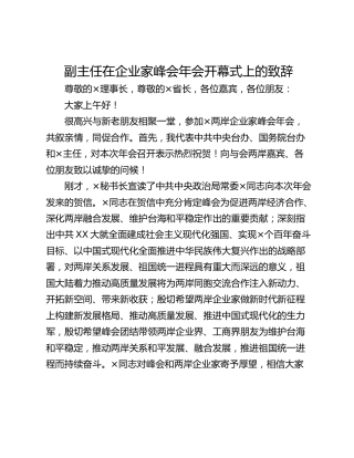 副主任在企业家峰会年会开幕式上的致辞_1
