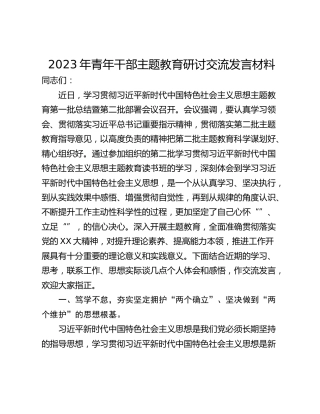 2023年青年干部主题教育研讨交流发言材料