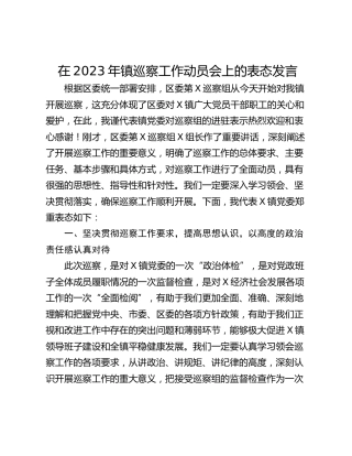 在2023年镇巡察工作动员会上的表态发言_1