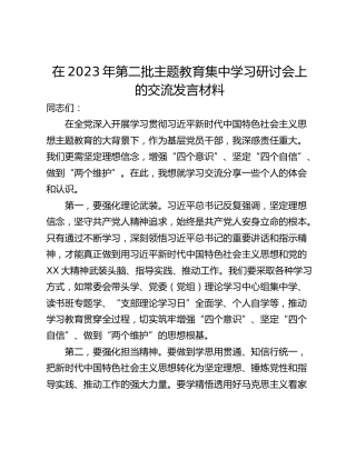 在2023年第二批主题教育集中学习研讨会上的交流发言材料_1