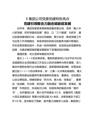 X集团公司党委党建特色亮点