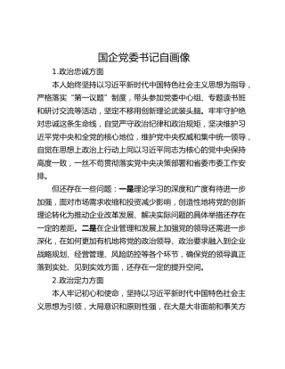 国企党委书记自画像