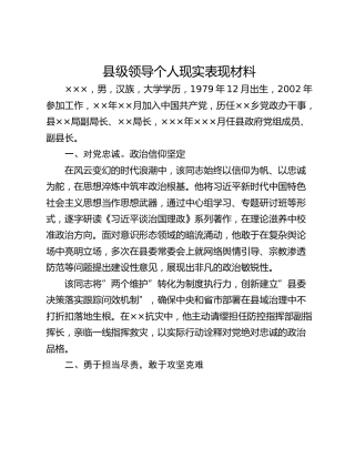 县级领导个人现实表现材料