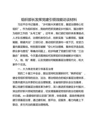 组织部长发挥党建引领效能访谈材料