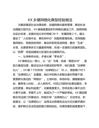 XX乡镇网格化典型经验做法