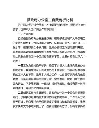 县政府办公室主自我剖析材料