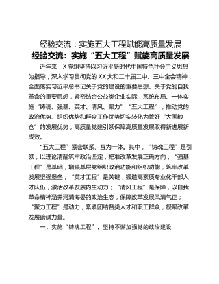 经验交流：实施五大工程赋能高质量发展