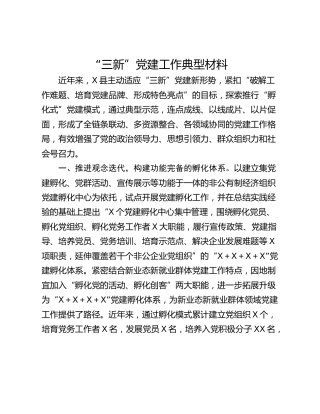 “三新”党建工作典型材料