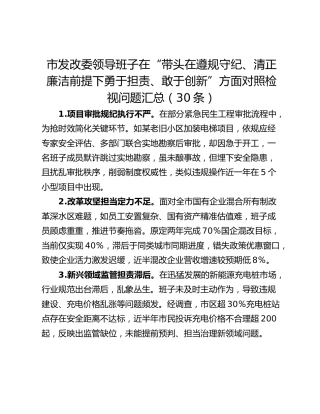 市发改委领导班子在“带头在遵规守纪、清正廉洁前提下勇于担责、敢于创新”方面对照检视问题汇总（30条）