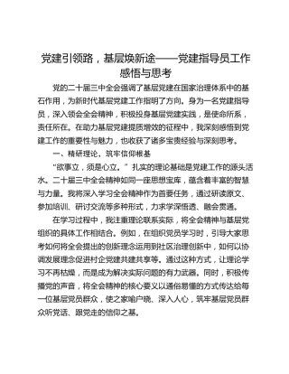 党建引领路，基层焕新途——党建指导员工作感悟与思考
