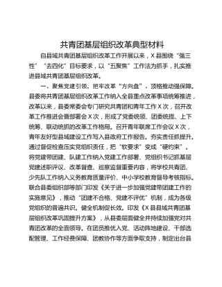 共青团基层组织改革典型材料