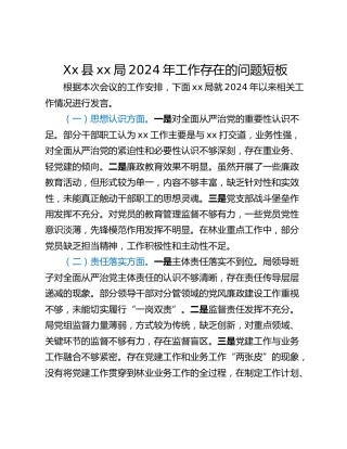 Xx县xx局2024年工作存在的问题短板