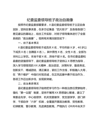 纪委监委领导班子政治自画像