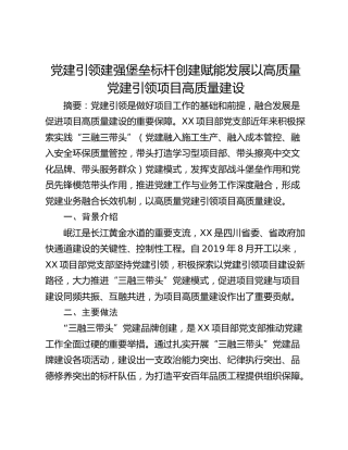 党建引领建强堡垒标杆创建赋能发展以高质量党建引领项目高质量建设