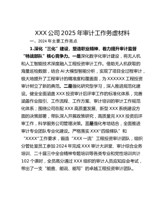 XXX公司2025年审计工作务虚材料