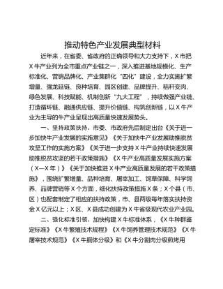 推动特色产业发展典型材料
