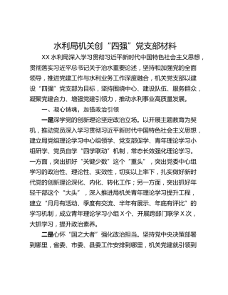 水利局机关创“四强”党支部材料