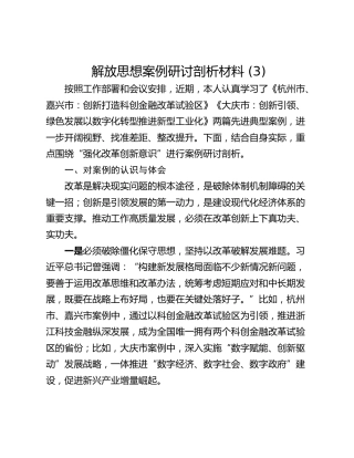 解放思想案例研讨剖析材料 (3)