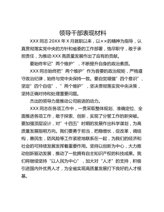 领导干部表现材料