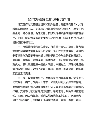 如何发挥好党组织书记作用