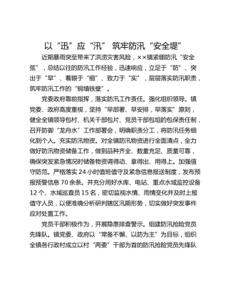以“迅”应“汛” 筑牢防汛“安全堤”