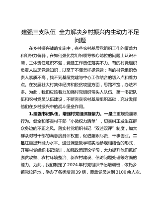 建强三支队伍  全力解决乡村振兴内生动力不足问题