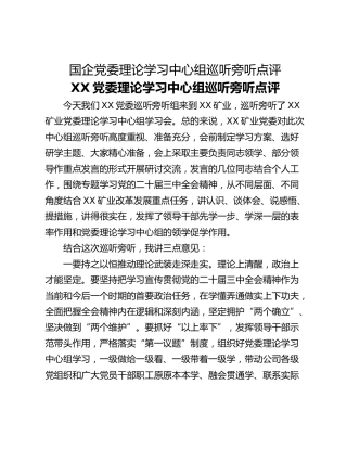 国企党委理论学习中心组巡听旁听点评