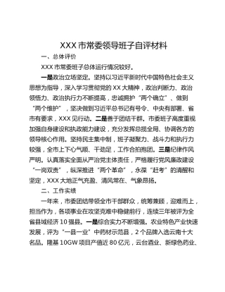 XXX市常委领导班子自评材料