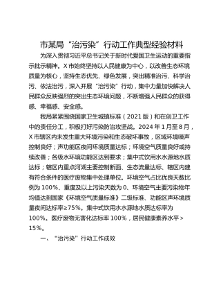 市某局“治污染”行动工作典型经验材料