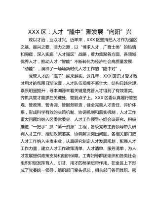 XXX区：人才“隆中”聚发展“向阳”兴