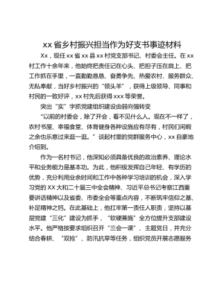 xx省乡村振兴担当作为好支书事迹材料
