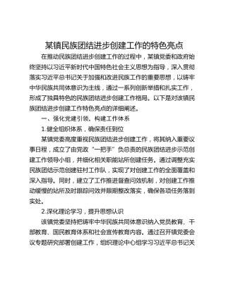 某镇民族团结进步创建工作的特色亮点