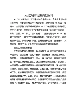 xx区城市治理典型材料