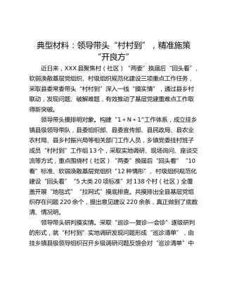 典型材料：领导带头“村村到”，精准施策  “开良方”