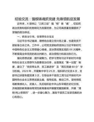 经验交流：强根铸魂抓党建 先锋领航促发展_1