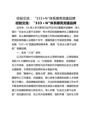 经验交流：“333N”体系擦亮党建品牌