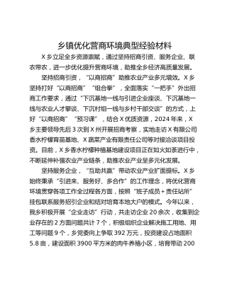 乡镇优化营商环境典型经验材料