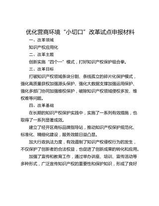 优化营商环境“小切口”改革试点申报材料
