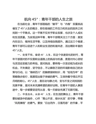航向45°：青年干部的人生之旅