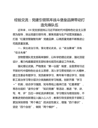 经验交流：党建引领筑牢战斗堡垒品牌带动打造先锋队伍
