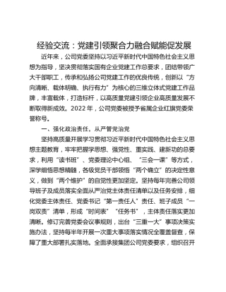 经验交流：党建引领聚合力融合赋能促发展