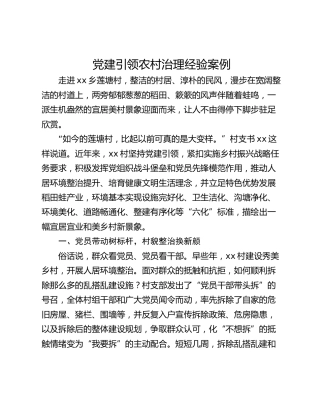 党建引领农村治理经验案例