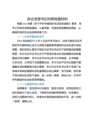 央企支部书记对照检查材料