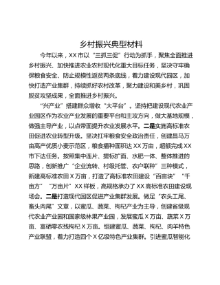 乡村振兴典型材料