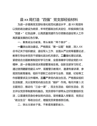 县xx局打造“四强”党支部经验材料