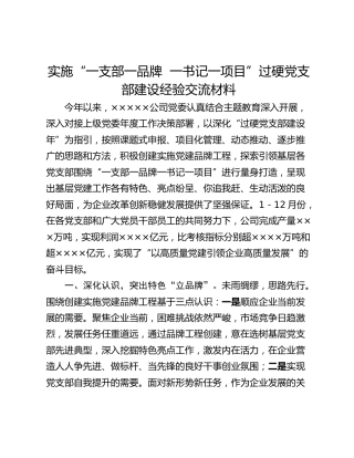 实施“一支部一品牌  一书记一项目”过硬党支部建设经验交流材料