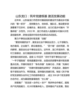 山东龙口：筑牢党建根基 激活发展动能